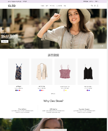 女装包包服饰类