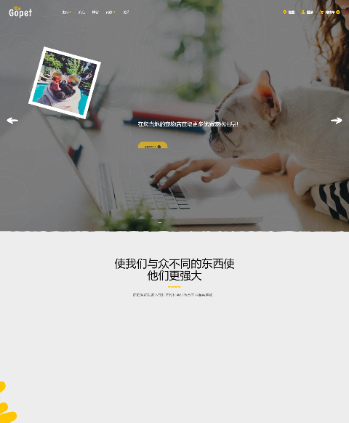 动物宠护猫粮狗粮1