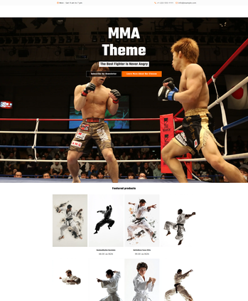 综合格斗相关内容展示