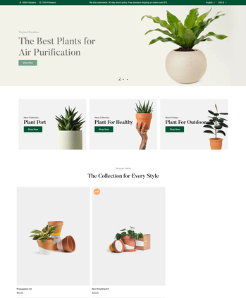 各类绿植盆栽售卖