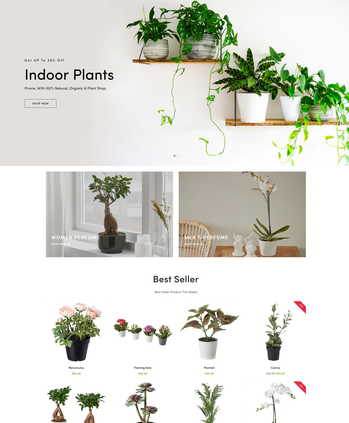 各类绿植盆栽售卖