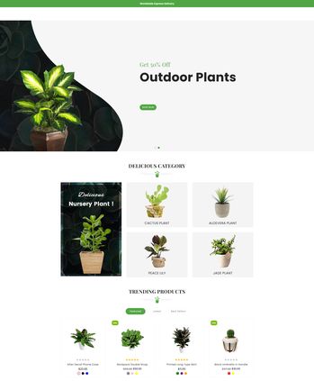 各类绿植盆栽售卖