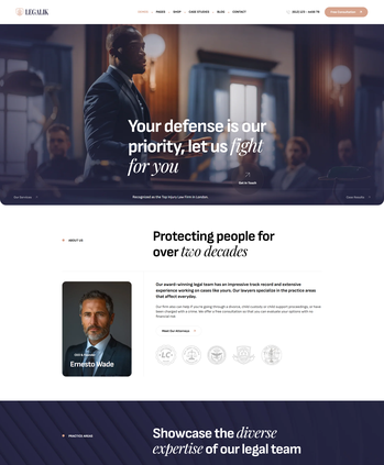 法律服务（辩护等）